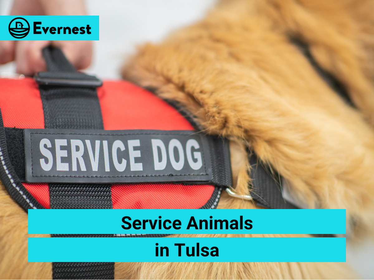 Service Animals in Tulsa: Everything Landlords Need to Know